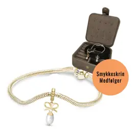 FORGYLDT CELEBRATE CHARMS ARMBÅND - ACCESSORIES