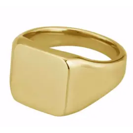 STÅL SIGNET HERRE RING - Ringe