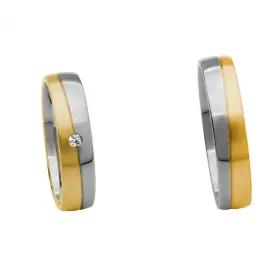 VIELSES SÆT - Sølv