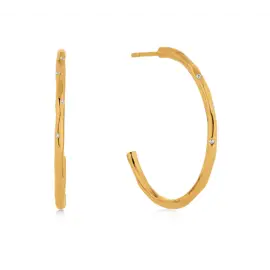 FORGYLDTE CREOLER MED ZIRKON - Øreringe